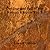 Decline and Fall of the Roman Empire Vol. 2