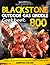 Blackstone Outdoor Gas Grid...