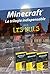 Coffret Minecraft 3 Poches Couleurs Minecraft, Redstone et Construction Pour les Nuls