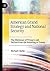 American Grand Strategy and National Security: The Dilemmas of Primacy and Decline from the Founding to Trump