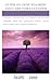 GUIDE ON HOW TO GROW AND CARE FOR LAVENDER: Lavender (Lavendula spp.) is a ordinary and aromatic perennial plant with gray-green foliage, upright flower spikes, and a compact shrub form.