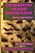 The Search for the Giant Ground Sloths: An Ice Age Safari (The Worlds of Artemisia)