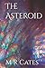 The Asteroid