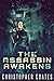 The Assassin Awakens