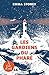 LES GARDIENS DU PHARE