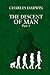 The Descent of Man: Part 1