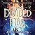 Divided Fire