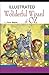 The Wonderful Wizard of Oz Illustrated