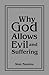 Why God Allows Evil and Suffering