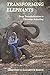Transforming Elephants: Deep Transformation in Christian Schooling