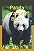 Panda Drawing Book