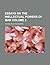 Essays on the Inellectual Powers of Man Volume 2