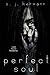 Perfect Soul