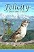 Felicity~ A Sparrow's Tale