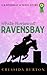 White Horses at Ravensbay (The Ravensbay School Stories) by Cressida Burton