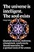 The universe is intelligent. The soul exists.: Quantum mysteries, multiverse, entanglement, synchronicity. Beyond materiality, for a spiritual vision ... Texts by Bruno Del Medico in English. (ING))