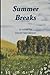Summer Breaks: a novel