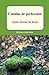 Camino de perfección (Spanish Edition)