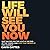 Life Will See You Now: Quit Waiting for the Light at the End of the Tunnel and Light That F*cker Up for Yourself