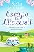 Escape to Lilacwell: A gorgeously summery, feel-good romance (Lilacwell Village)