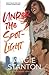 Under the Spotlight (The Boyfriend Series)