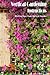 Vertical Gardening Instructions: Making Your Own Vertical Garden: Basic Vertical Gardening