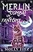 Merlin combat un fantôme (Merlin, le Matou Magique) (French Edition)