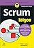 Scrum Para Leigos