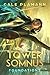 Foundations (Tower of Somnus #1)