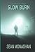 Slow Burn (Cole Wright Thrillers)