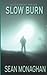 Slow Burn (Cole Wright Thrillers)