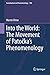 Into the World: The Movement of Patočka's Phenomenology (Contributions to Phenomenology, 104)