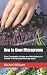 How to Grow Microgreens: Th...