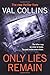Only Lies Remain: A Psychological Thriller