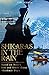 SHIKARAS IN THE RAIN - The ...