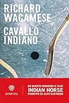 Cavallo indiano