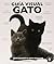 Guía visual del gato: como escoger al gato adecuado (Spanish Edition)