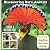 Discovering Rare Animals with Facts Children aged 6-12 by Scify Imagination