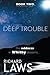 Deep Trouble: Hayle & Storm Book Two