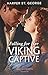 Falling For Her Viking Captive