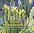 Iris in bester Gesellschaft
