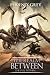 The Realm Between: The Evil Within (Book 5)