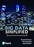 Big Data Simplified