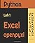 Python Lab1 Excel openpyxl: Visual Programming (Python Labs)