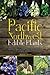 Pacific Northwest Edible Plants: A Field Guide to Safely Identifying & Harvesting Northern American Plants and Foraging Wild Foods of Pacific Northwest