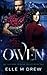 Owen (The Shifters of Bear Valley Book 1)
