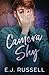 Camera Shy: M/M contemporary rom com