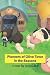 Pioneers of Olive Town in the Seasons by James  Colgan