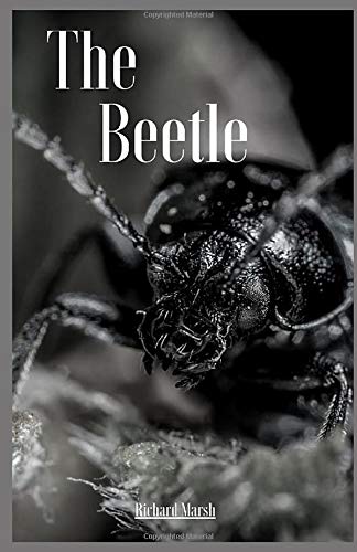 The Beetle illustrated