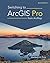 Switching to ArcGIS Pro from ArcMap